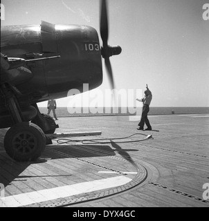 Le Grumman F6F-5N Hellcat, désigné 01, était un avion de chasse à porte-avions utilisé pendant la IIe Guerre mondiale connu pour son design robuste et son efficacité au combat, il a joué un rôle central dans la sécurisation des victoires alliées sur le théâtre du Pacifique. Banque D'Images