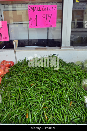 Un signe à un supermarché indien à Jackson Heights Queens New York avec un mot mal orthographié Banque D'Images