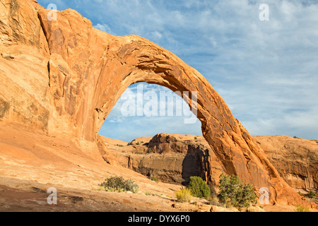 Corona Arch, Bootlegger Canyon, près de Moab, Utah USA Banque D'Images