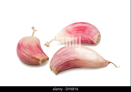 Gousses d'ail rouge isolated on white Banque D'Images
