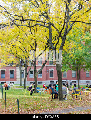 Harvard Yard, ancien coeur de la Harvard University Campus, d'une belle journée d'automne à Cambridge, MA, USA le 2 novembre 2013. Banque D'Images