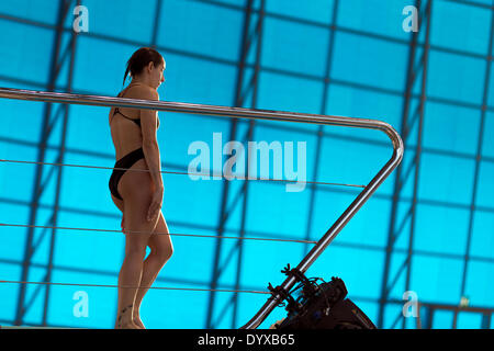 Londres, Royaume-Uni. Apr 26, 2014. Pamela Ware Tremplin 3m Femmes FINA Final/NVC Diving World Series 2014 Centre Aquatique de Londres Queen Elizabeth Olympic Park, Angleterre Royaume-uni Crédit : Simon Balson/Alamy Live News Banque D'Images