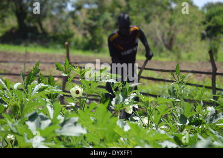 Morobo, au Soudan du Sud, l'Afrique. Apr 24, 2014. Les terres agricoles. Le chef de la FAO au Soudan du Sud observe la production agricole dans le comté de Morobo dans l'Équatoria central état (CES) et 'seeds' pour la paix - le rôle de l'agriculture dans le conflit. © Samir Bol/ZUMA/ZUMAPRESS.com/Alamy fil Live News Banque D'Images