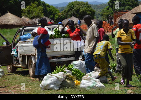 Morobo, au Soudan du Sud, l'Afrique. Apr 24, 2014. Les terres agricoles. Le chef de la FAO au Soudan du Sud observe la production agricole dans le comté de Morobo dans l'Équatoria central état (CES) et 'seeds' pour la paix - le rôle de l'agriculture dans le conflit. © Samir Bol/ZUMA/ZUMAPRESS.com/Alamy fil Live News Banque D'Images