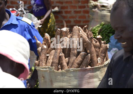 Morobo, au Soudan du Sud, l'Afrique. Apr 24, 2014. Les terres agricoles. Le chef de la FAO au Soudan du Sud observe la production agricole dans le comté de Morobo dans l'Équatoria central état (CES) et 'seeds' pour la paix - le rôle de l'agriculture dans le conflit. © Samir Bol/ZUMA/ZUMAPRESS.com/Alamy fil Live News Banque D'Images