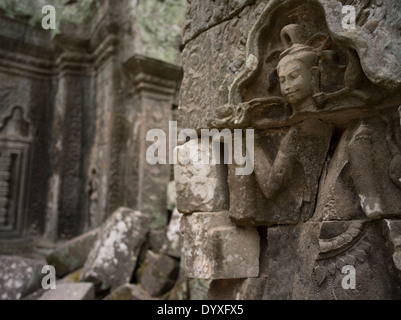 Bas-relief sculptures de grès d'Apsara à Ta Prohm temple ruine dans la forêt. Siem Reap, Cambodge Banque D'Images