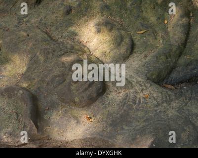 Kbal Spean gravures dans le lit de la rivière au nord-est d'Angkor. Siem Reap, Cambodge Banque D'Images