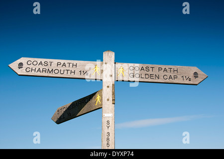 South West Coast Path sign post donnant des directives à Golden Cap, Charmouth et Stonebarrow Hill, Dorset Banque D'Images