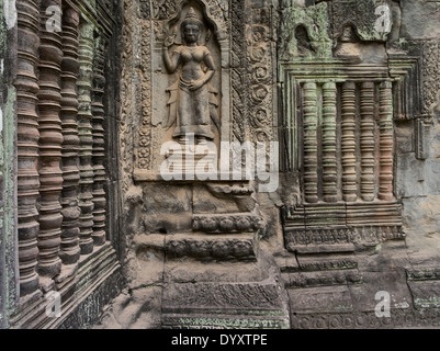 Bas-relief sculptures de grès d'Apsara à Ta Prohm temple ruine dans la forêt. Siem Reap, Cambodge Banque D'Images