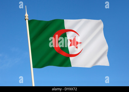 Le drapeau national de l'Algérie Banque D'Images