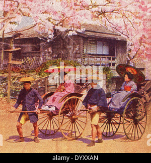 Cette scène au Japon remonte à 1909. Il montre jinrikisha hommes pendant le temps des cerisiers en fleur. Banque D'Images