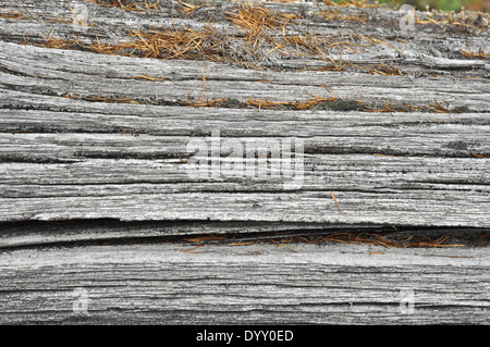 La texture de surface du bois. Des fissures profondes sur le tronc du vieux chêne. Banque D'Images