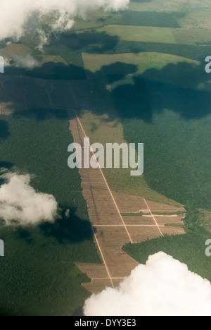 L'État de Para au Brésil. La déforestation. Vue aérienne de la nouvelle route avec énoncés soigneusement les limites de champ géométrique. Banque D'Images