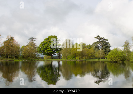 Une vue sur un lac dans la région de Petworth Park West Sussex. Photographie par Paul Terry Banque D'Images