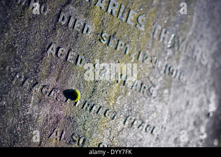 Pierre tombale dans le cimetière Mount à Guildford, Surrey Banque D'Images