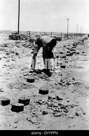 Une action militaire sur l'egytian frontière, bataille d'El Alamein, 1942 Banque D'Images