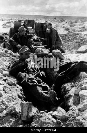 Une action militaire sur l'egytian frontière, bataille d'El Alamein, 1942 Banque D'Images