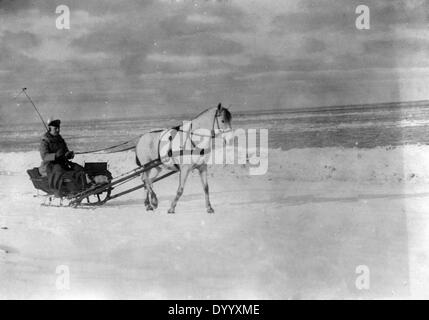 Un soldat allemand sur un traîneau tiré par des chevaux, 1916 Banque D'Images