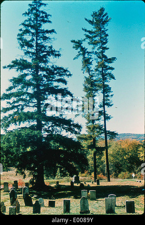 Court Street Cemetery à Keene, New Hampshire, est un lieu de sépulture historique avec des pierres tombales datant du XIXe siècle. Le cimetière est marqué par des arbres à feuilles persistantes et des pierres tombales bien entretenues, offrant un lieu de repos paisible pour les défunts, y compris Anne Wardwell. Banque D'Images