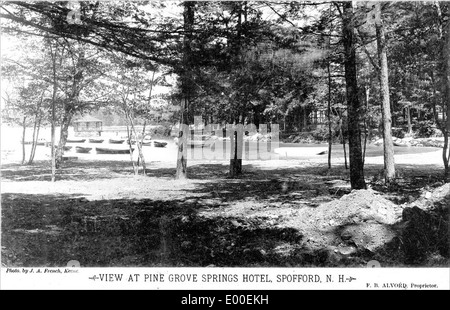 Pine Grove Springs Voir Spofford Lake à Chesterfield, New Hampshire Banque D'Images