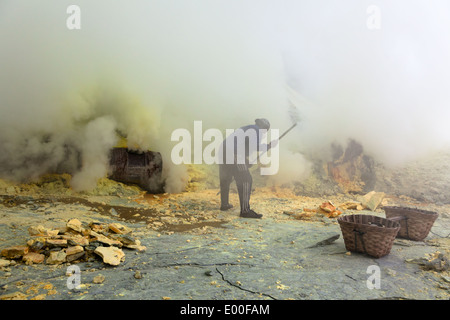 Exploitation minière de soufre au Kawah Ijen, Banyuwangi Regency, l'Est de Java, Indonésie Banque D'Images