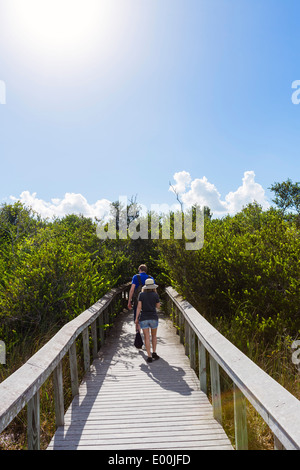 Couple sur le Boardwalk Bobcat près de la Shark Valley Visitor Centre, Parc National des Everglades, Florida, USA Banque D'Images