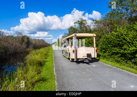 Tour de Tramway sur la Shark Valley loop road, le Parc National des Everglades, Florida, USA Banque D'Images