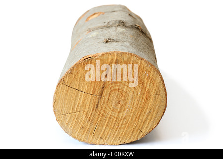 Morceau de bois de chauffage séché de hêtre ( ) de lignes sur fond blanc avec ombre Banque D'Images