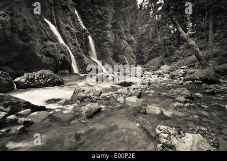 Cascade à côté de la rivière, Boulder Boulder River Wilderness, mont Baker-Snoqualmie National Forest, North Carolina, USA Banque D'Images