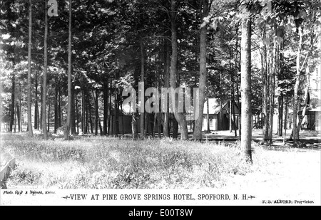 Pine Grove Springs Voir Spofford Lake à Chesterfield, New Hampshire Banque D'Images