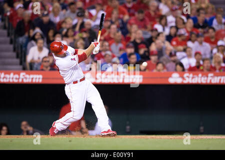 Anaheim, CA, USA. Apr 28, 2014. 28 avril 2014 - Anaheim, CA, United States of America - Los Angeles Angels champ centre Mike Fontaine (27) les chauves-souris au cours de la MLB match entre les Indians de Cleveland et Los Angeles Angels à l'Angels Stadium à Anaheim, CA. Credit : csm/Alamy Live News Banque D'Images