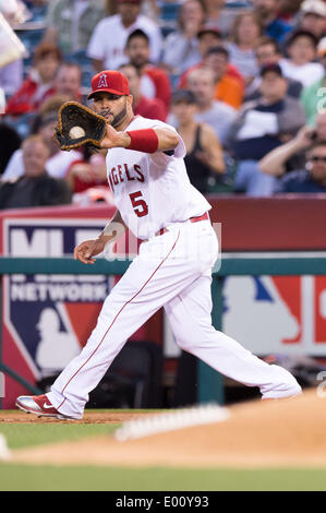 Anaheim, CA, USA. Apr 28, 2014. 28 avril 2014 - Anaheim, CA, United States of America - Los Angeles Angels premier but Albert Pujols (5) en action au cours de la MLB match entre les Indians de Cleveland et Los Angeles Angels à l'Angels Stadium à Anaheim, CA. Credit : csm/Alamy Live News Banque D'Images