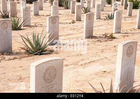 Tombes de militaires du Commonwealth au cimetière militaire des Alliés à El-Alamein, Egypte Banque D'Images