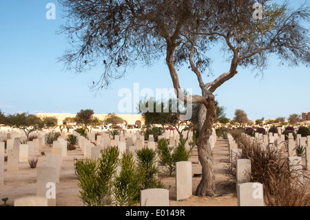 Cimetière militaire des alliés à El-Alamein, Egypte Banque D'Images