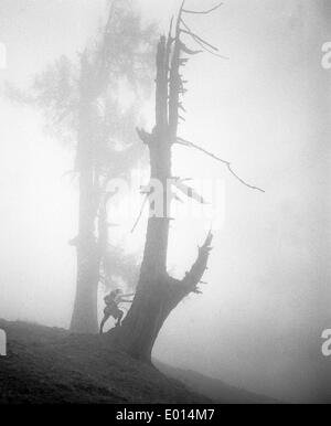 Femme et arbre dans le brouillard à Dachstein en Autriche, 1971 Banque D'Images