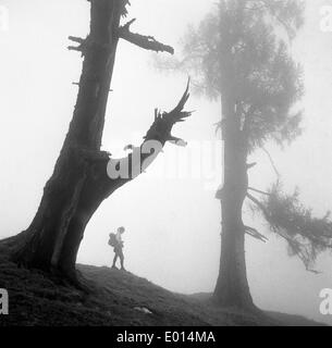 Femme et arbre dans le brouillard à Dachstein en Autriche, 1971 Banque D'Images