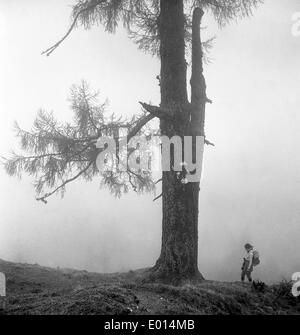 Femme et arbre dans le brouillard à Dachstein en Autriche, 1971 Banque D'Images