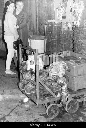 Abattoir dans les Halles à Paris, 1967 Banque D'Images