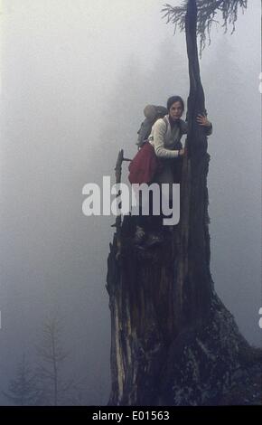 Femme sur un tronc d'arbre à l'Dachstein-Area dans le Steiermark, 1968 Banque D'Images