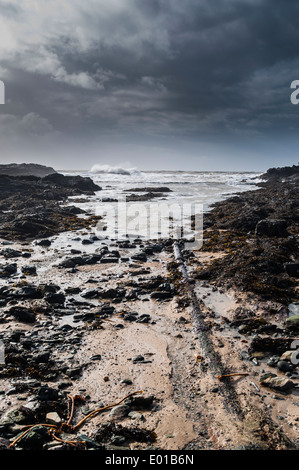 Plage de Porth an près de Trearddur Bay Anglesey au nord du Pays de Galles Banque D'Images