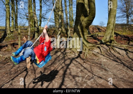 Jeune garçon se balancer sur une balançoire de corde dans les arbres Banque D'Images