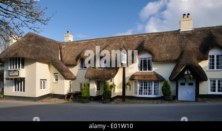 La Royal Oak Inn, London, Exmoor, Somerset Banque D'Images