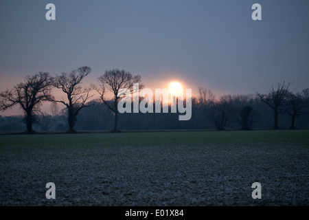 Coucher du soleil d'hiver de l'ensemble des terres arables. Hickling. Le Norfolk. L'East Anglia. UK. Banque D'Images