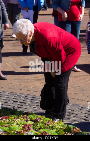 Vieille Femme à la recherche de plantes. Pâques Carlisle marché continental, Carlisle, Cumbria, Angleterre, Royaume-Uni. Banque D'Images