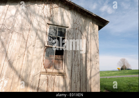 Vieille maison abandonnée dans les régions rurales de Virginie, USA. Banque D'Images