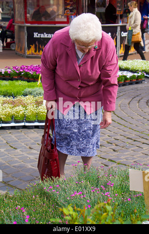 Vieille Femme à la recherche de plantes. Pâques Carlisle marché continental, Carlisle, Cumbria, Angleterre, Royaume-Uni. Banque D'Images