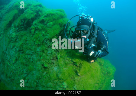 Diver sur ake Baïkal, en Sibérie, Fédération de Russie, de l'Eurasie Banque D'Images