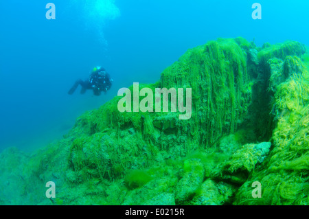 La soie de l'eau, mermaid's tressses, ou d'une couverture contre les mauvaises herbes (Spirogyra) la catastrophe écologique pour le lac Baïkal Banque D'Images