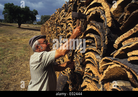 Portugal Alentejo, travailleur à la récolte du liège, tous les sept ans, l'écorce de chêne-liège est pelée, écorce de liège pile sur place du stockage Banque D'Images