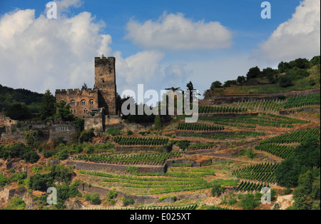 Château gutenfels, aka caub château, siège sur la ville de kaub, Allemagne Banque D'Images